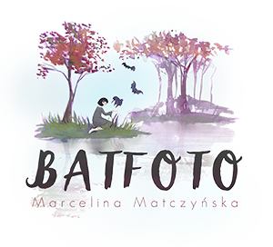 Batfoto-Photography-logo